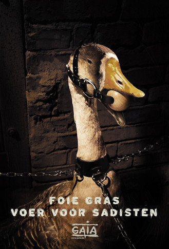 Affiche van GAIA tegen Foie Gras