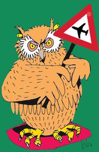 protesting owl